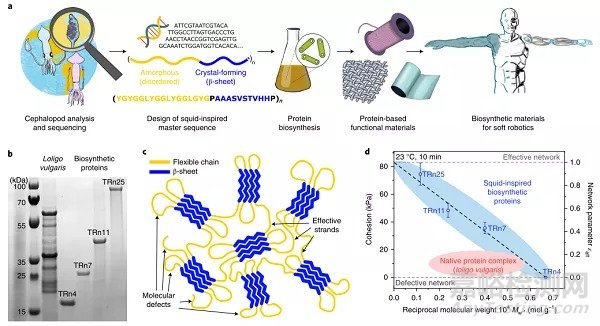 自修復(fù)柔性電子研究進(jìn)展速遞