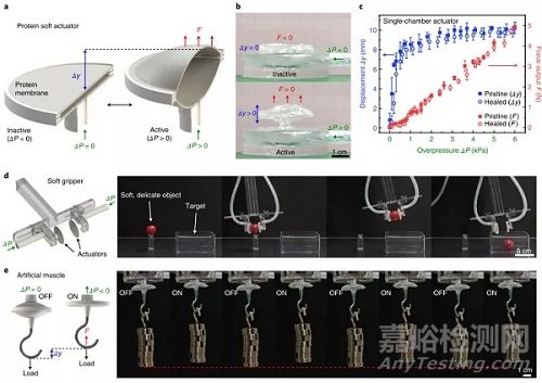自修復(fù)柔性電子研究進(jìn)展速遞