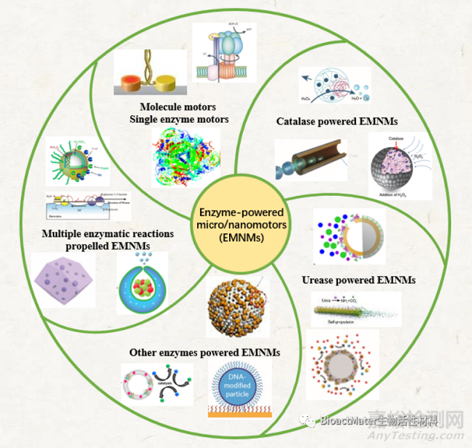 生物酶驅(qū)動微納米馬達(dá)的原理及其應(yīng)用