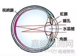 國產(chǎn)人工角膜6月用于臨床，超全的人工角膜研發(fā)科普貼