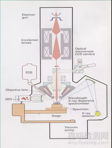 使用電子探針(EPMA)必備的基礎(chǔ)知識(shí)