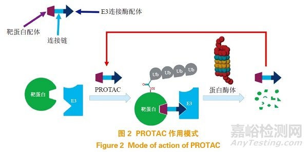 蛋白降解靶向嵌合體（PROTAC）在小分子藥物研發(fā)中的機(jī)遇與挑戰(zhàn)