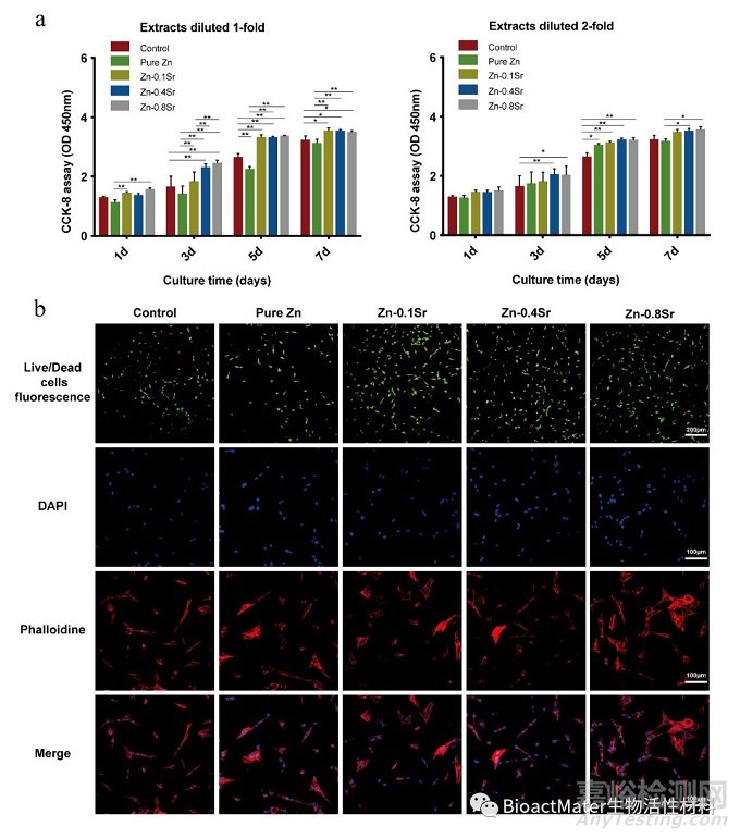 可降解Zn-Sr合金修復(fù)大鼠股骨髁骨缺損的體內(nèi)、體外研究
