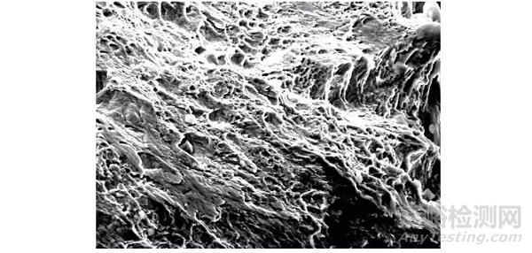 不銹鋼波形彈性墊圈斷裂分析