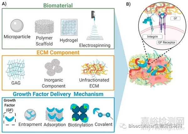 利用模擬細(xì)胞外基質(zhì)的載體遞送生長因子，用于肌肉骨骼組織工程和修復(fù)
