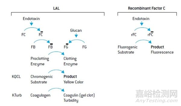內(nèi)毒素檢測(cè)新方法:重組C因子法