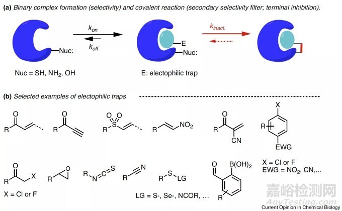 藥物發(fā)現(xiàn)中的共價抑制劑