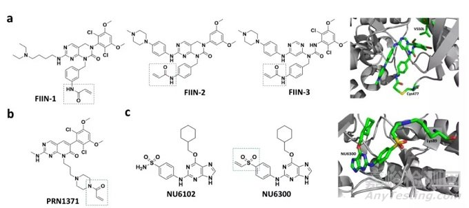 藥物發(fā)現(xiàn)中的共價抑制劑