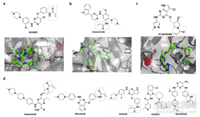 藥物發(fā)現(xiàn)中的共價抑制劑