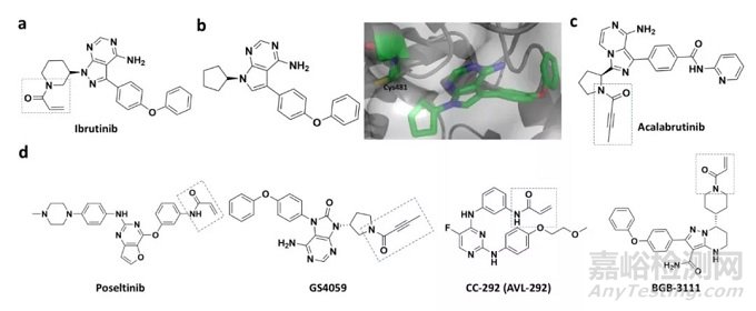 藥物發(fā)現(xiàn)中的共價抑制劑