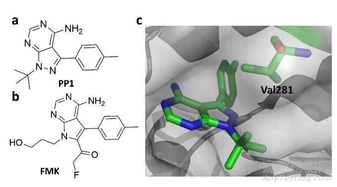 藥物發(fā)現(xiàn)中的共價抑制劑