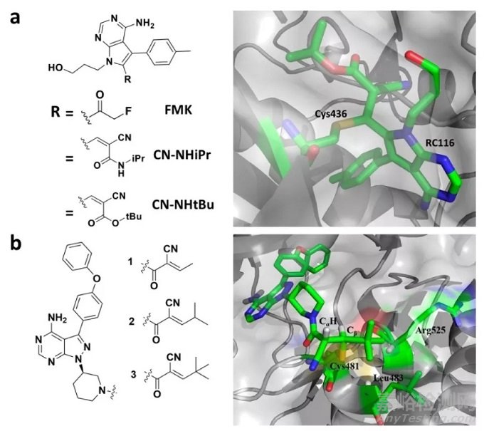 藥物發(fā)現(xiàn)中的共價抑制劑