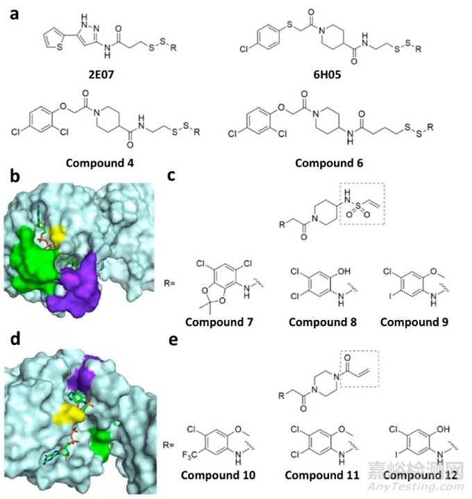 藥物發(fā)現(xiàn)中的共價抑制劑