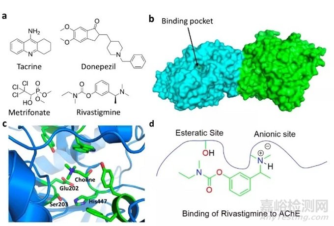 藥物發(fā)現(xiàn)中的共價抑制劑