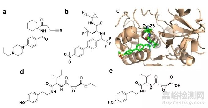 藥物發(fā)現(xiàn)中的共價抑制劑