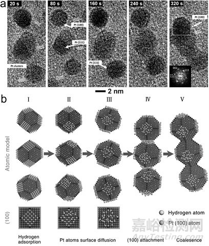高端透射電鏡技術(shù)在納米材料領(lǐng)域的應(yīng)用