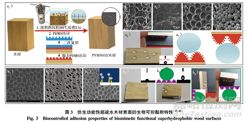 專論綜述|仿生超疏水木材表面微納結構制備研究進展