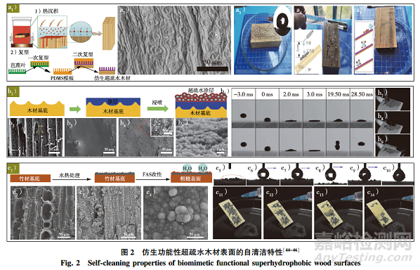 專論綜述|仿生超疏水木材表面微納結構制備研究進展