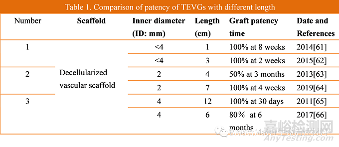 組織工程血管的不同內(nèi)皮化方式及種子細(xì)胞選擇