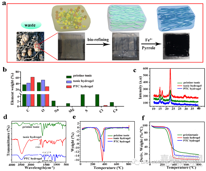 從海洋養(yǎng)殖廢棄物到促心梗修復(fù)的天然導(dǎo)電心肌補(bǔ)片