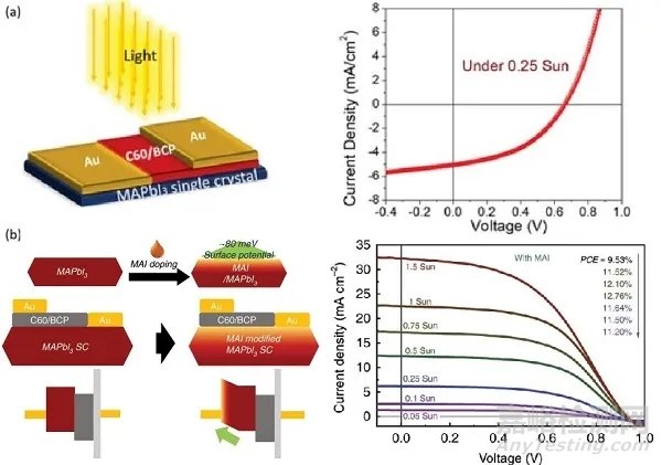制備鈣鈦礦單晶器件，帶你看單晶從材料到器件的涅槃
