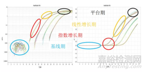 熒光定量PCR要點(diǎn)大解析