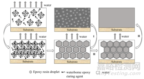 非離子型水性環(huán)氧固化劑研究