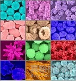 藥物的多晶型與藥物制劑的開發(fā)