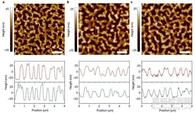 電鏡月征文參賽作品：原子力顯微鏡之?dāng)?shù)據(jù)分析