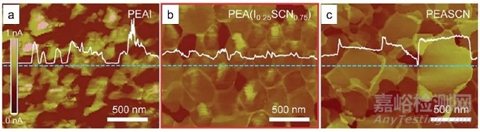 電鏡月征文參賽作品：原子力顯微鏡之?dāng)?shù)據(jù)分析