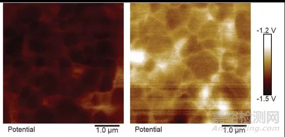 電鏡月征文參賽作品：原子力顯微鏡之?dāng)?shù)據(jù)分析