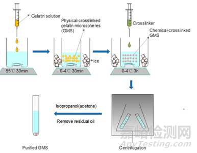 明膠微球的制備及在生物醫(yī)藥應(yīng)用的研究進(jìn)展