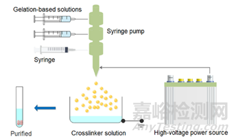 明膠微球的制備及在生物醫(yī)藥應(yīng)用的研究進(jìn)展