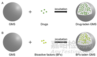 明膠微球的制備及在生物醫(yī)藥應(yīng)用的研究進(jìn)展