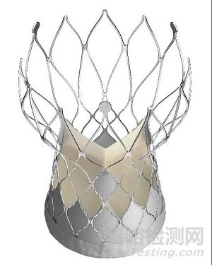 沛嘉醫(yī)療的自膨脹主瓣系統(tǒng)TAVI獲批