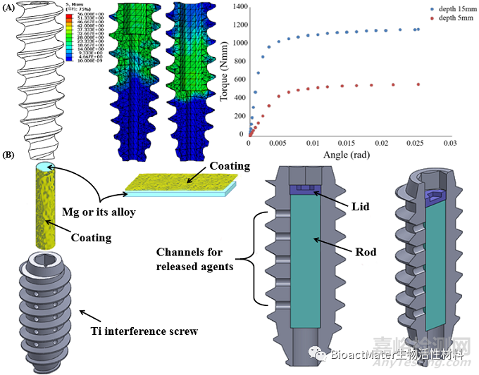 用于前交叉韌帶重建的可降解鎂基界面螺釘臨床轉(zhuǎn)化應用挑戰(zhàn)及開發(fā)策略