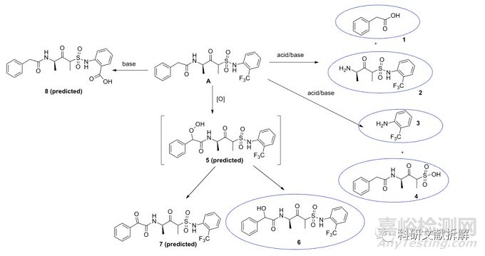 ?案例說明藥物降解產(chǎn)生基因雜質(zhì)的控制策略