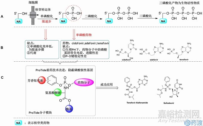核苷類藥物ProTide前藥技術(shù)概念及臨床應(yīng)用
