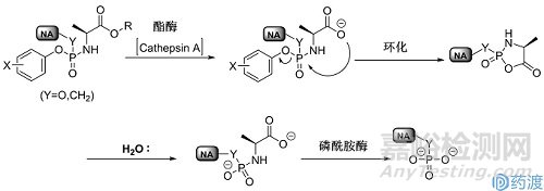 核苷類藥物ProTide前藥技術(shù)概念及臨床應(yīng)用
