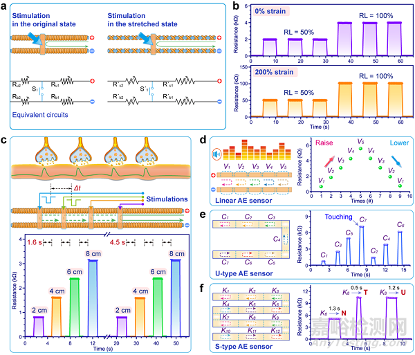 高性能纖維復合材料也能用于制備人工周圍感覺神經(jīng)器件