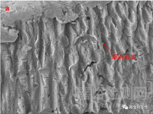 摩擦磨損失效簡析