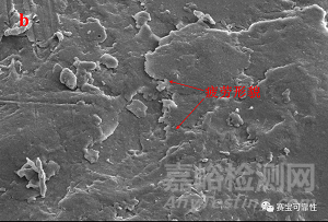 摩擦磨損失效簡析