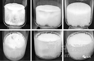 凍干制劑研發(fā)和放大過(guò)程中的“質(zhì)量源于設(shè)計(jì)”