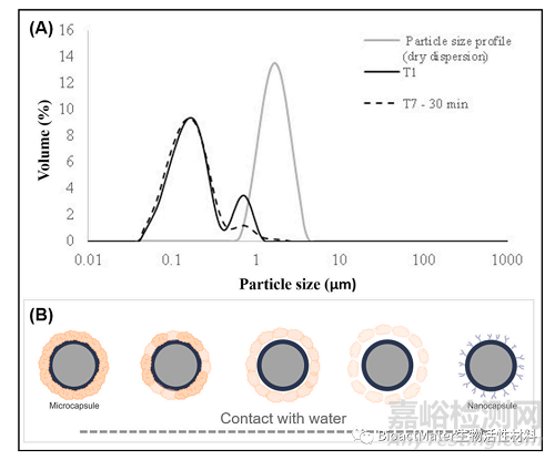 離子液體載藥微膠囊在牙科樹脂填充物中的摻雜