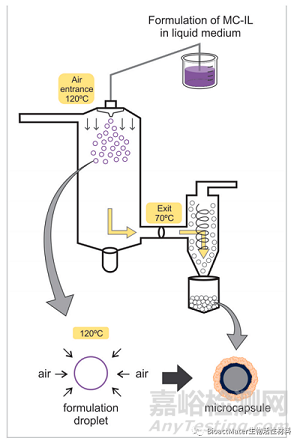 離子液體載藥微膠囊在牙科樹脂填充物中的摻雜