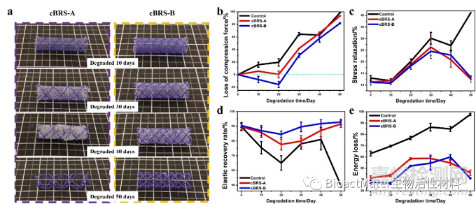 機械自增強型復合結(jié)構(gòu)可降解血管支架簡介