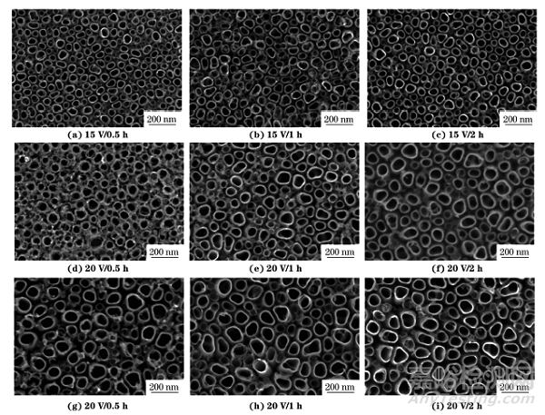 陽(yáng)極氧化工藝及改性對(duì)TiO2納米管陣列薄膜疏水性的影響