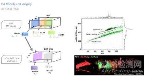 DESI-IMS與MALDI-IMS的區(qū)別詳解