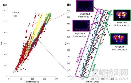 DESI-IMS與MALDI-IMS的區(qū)別詳解