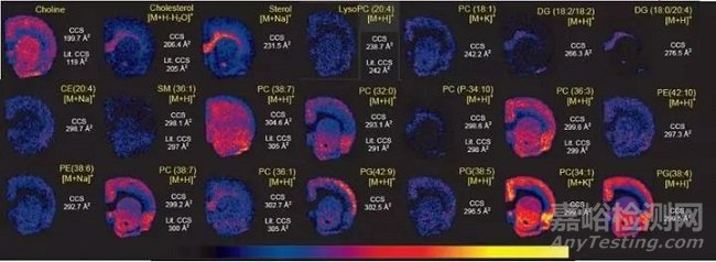 DESI-IMS與MALDI-IMS的區(qū)別詳解
